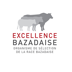 Logo de l'Excellence Bazadaise, organisme de sélection de la race Bazadaise.