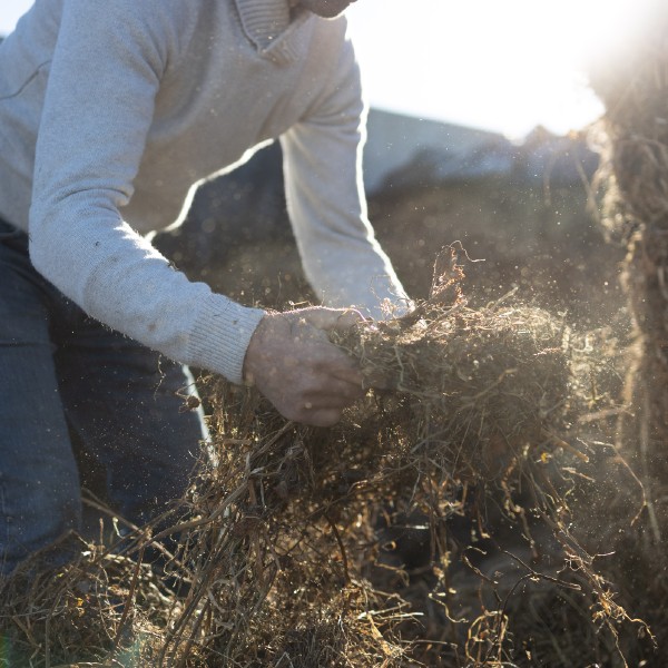 eleveur-foin Photographie d'un éleveur Maison Bel Air ramassant du foin.